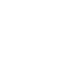 Townhouses animated logo